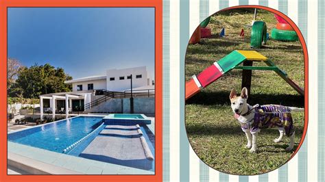 Best Pet Friendly Hotels in Tagaytay from $18/night .